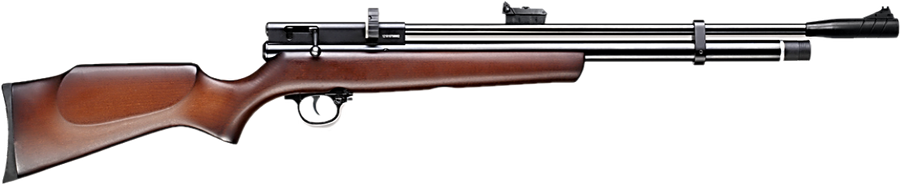 Beeman Chief II 1328 – .22 Caliber PCP Air Rifle