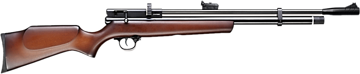 Beeman Chief II 1328 – .22 Caliber PCP Air Rifle